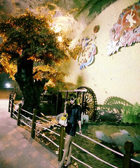 ���Ÿ߸�ȥ��ɽ�����׷�