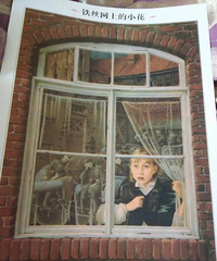 �����»汾�¡���˿���ϵ�С��