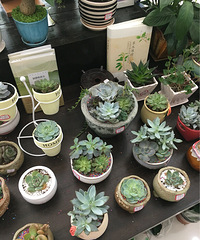 �»����Ҳ��������