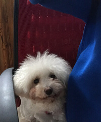 �����¡�һ�𿴹��ճ����� �߹������ﶬ