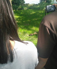 ż������