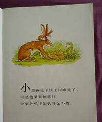 �����»汾�¡��²����жమ��