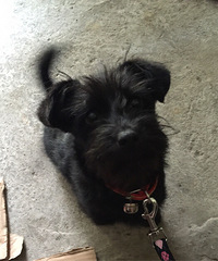 ϲ����MM����