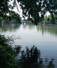 ȥ����������