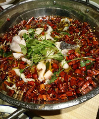 ���ѱ༭��