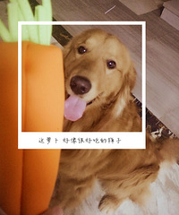 �����ӹ���¶����