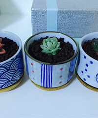 �ҵ�С�ջ���