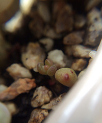 ����Ҫ��ע��������������