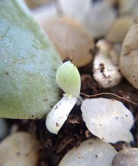 ����Ҫ��ע��������������