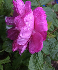 ���˼������õ������Ļ���