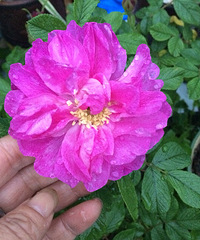 ���˼������õ������Ļ���