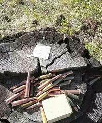 ���ɹ���������