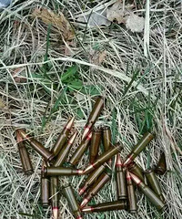 ���ɹ���������