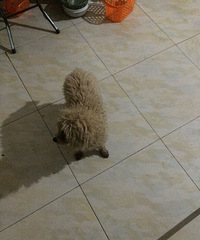 ��������ֵĹ�����