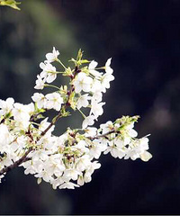 ������Ϣ��û����ͼ�鷳