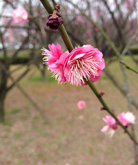 �������ߵ����ڸ�ʲô���Ȳ�