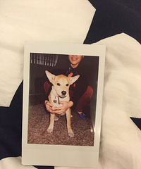 ������Ĺ�����