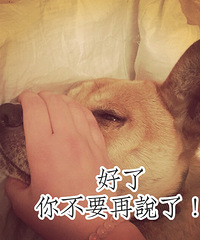 ������Ĺ�����