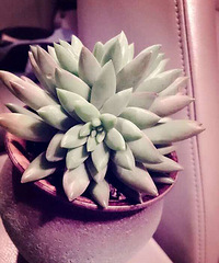 ��ô��������ֻҪ8��Ǯ���������ˣ�