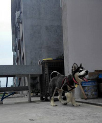 �������㡳�찡�࣬�����ڴ�