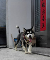 �������㡳�찡�࣬�����ڴ�