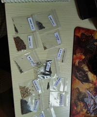 �Ѿ��ɹ����֣�׼������