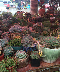 ����ȥ�˻����г������˼���С���⡣