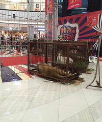 �������ߵ����ڸ�ʲô��+������̩�Է�