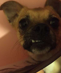 �������㡿���������