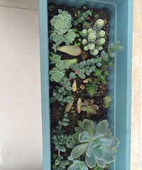 ������Ӫ���е�����