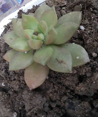 ��̣�����Ϊɶ�����