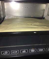 �����ߵ����ڸ�ʲô