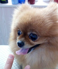 ���� ��ô��