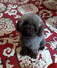 �������㡿Q��