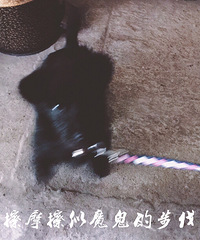 �۱������ǰ�������˳�Ѳ�������˵Ȼر�