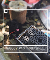 �۱������ǰ�������˳�Ѳ�������˵Ȼر�