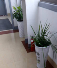 ��ɹ�칫����ֲ��