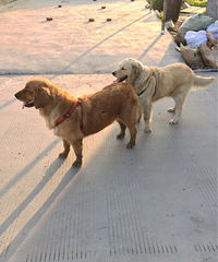 �о��Լ������� �� ����