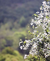 ������·��ing