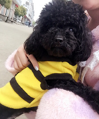 �������㡿+�Ҽұ���������