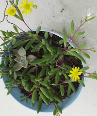 �����ǳ��ߵļ���