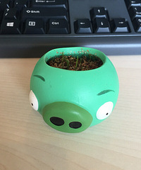 ��ɹ�칫����ֲ���ȴ�С�ݳ���