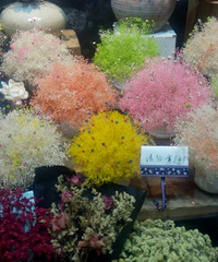 �����ߵ㣬����������