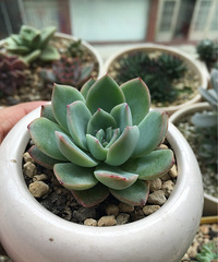 �����������������������ð�