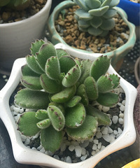 �����������������������ð�