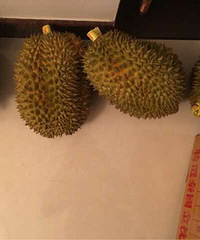 ����7�����ڸ�ʲô