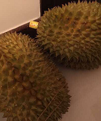 ����7�����ڸ�ʲô