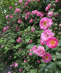 ����������