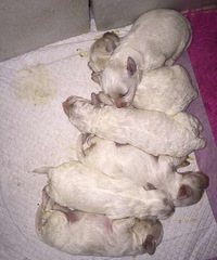 ��������ı��ܱ���