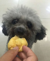 �������㡿�°���ר�������